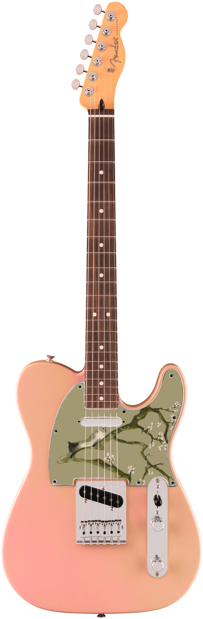 Pickguard Tele SS #4