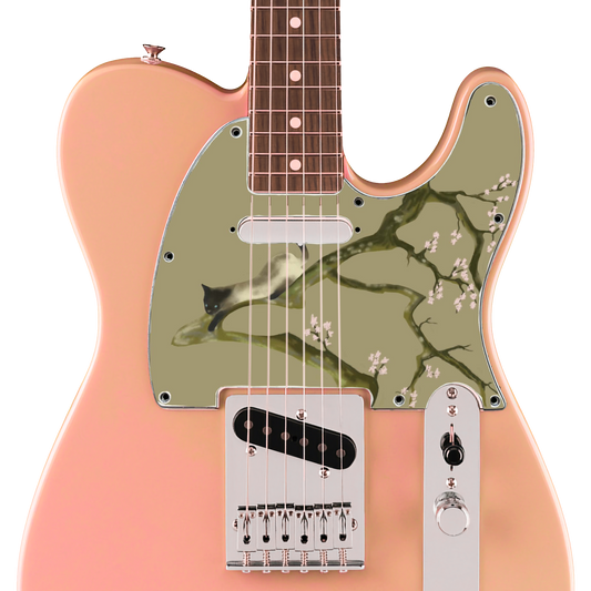 Pickguard Tele SS #4